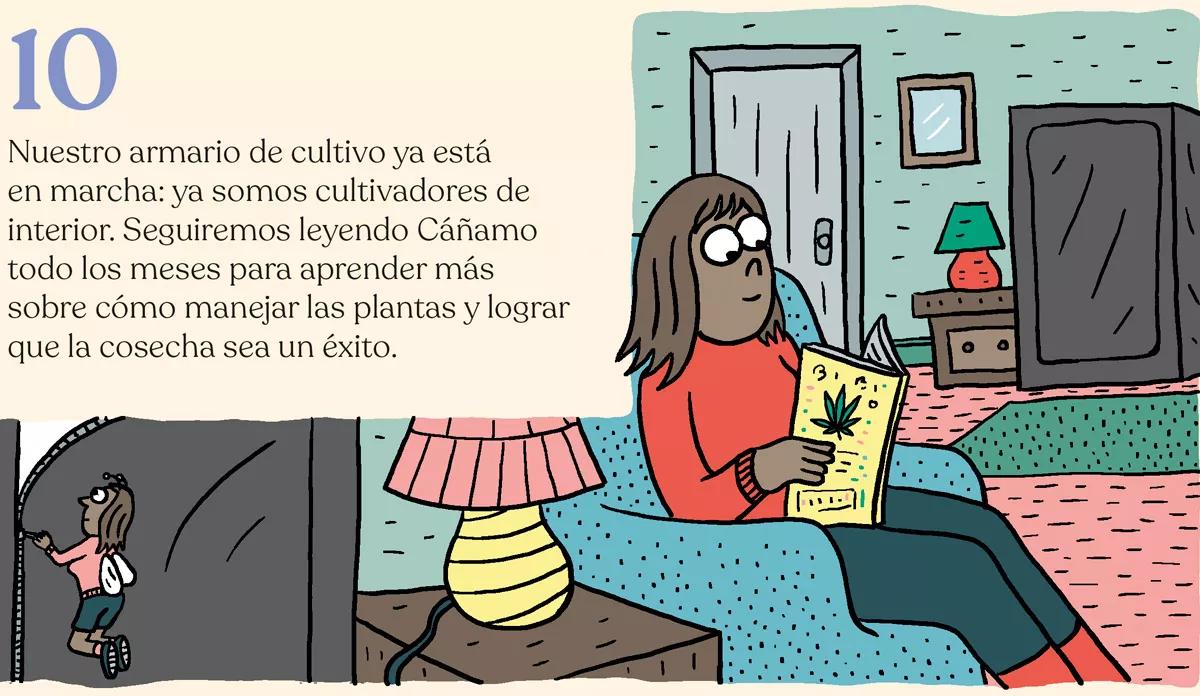 Diez pasos para montar el primer cultivo interior 