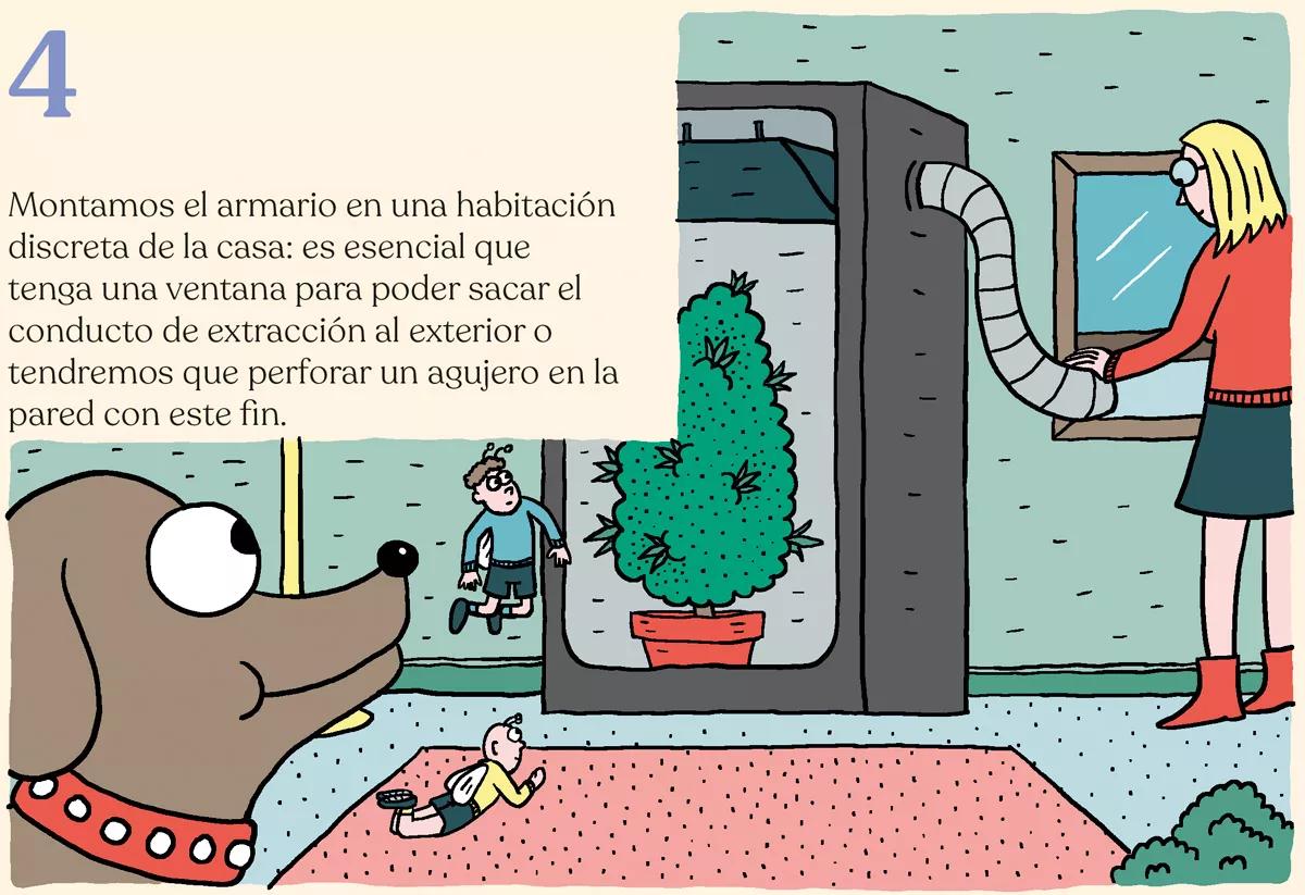 Diez pasos para montar el primer cultivo interior 