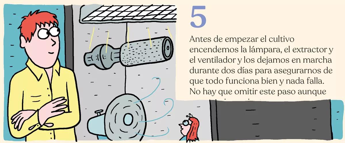 Diez pasos para montar el primer cultivo interior 