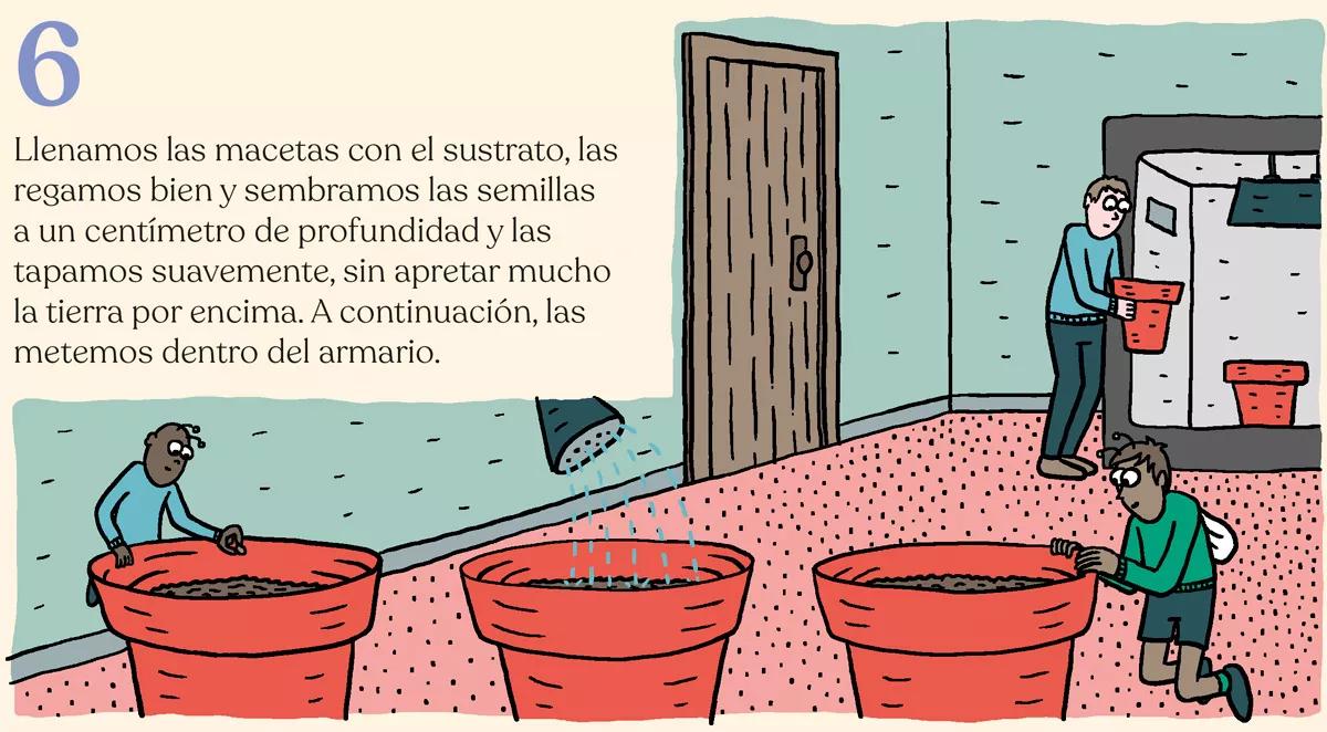 Diez pasos para montar el primer cultivo interior 