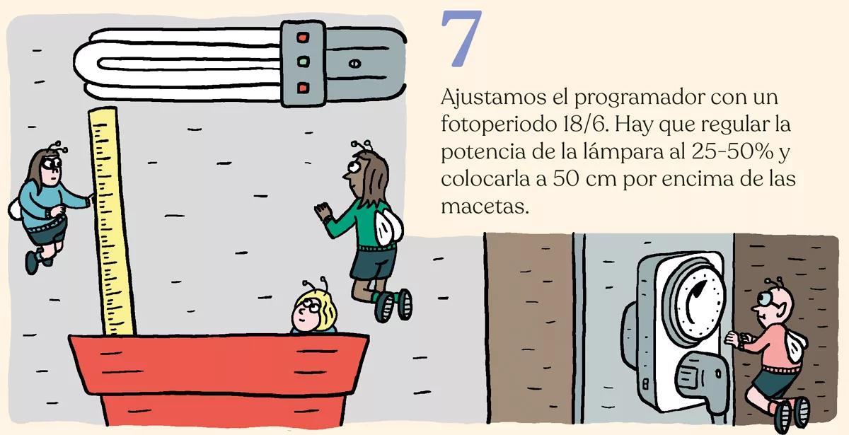 Diez pasos para montar el primer cultivo interior 