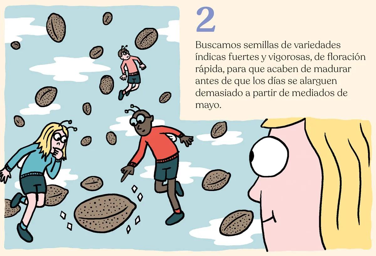 Siembra en febrero y cosecha en mayo: trucos para la maría de primavera 