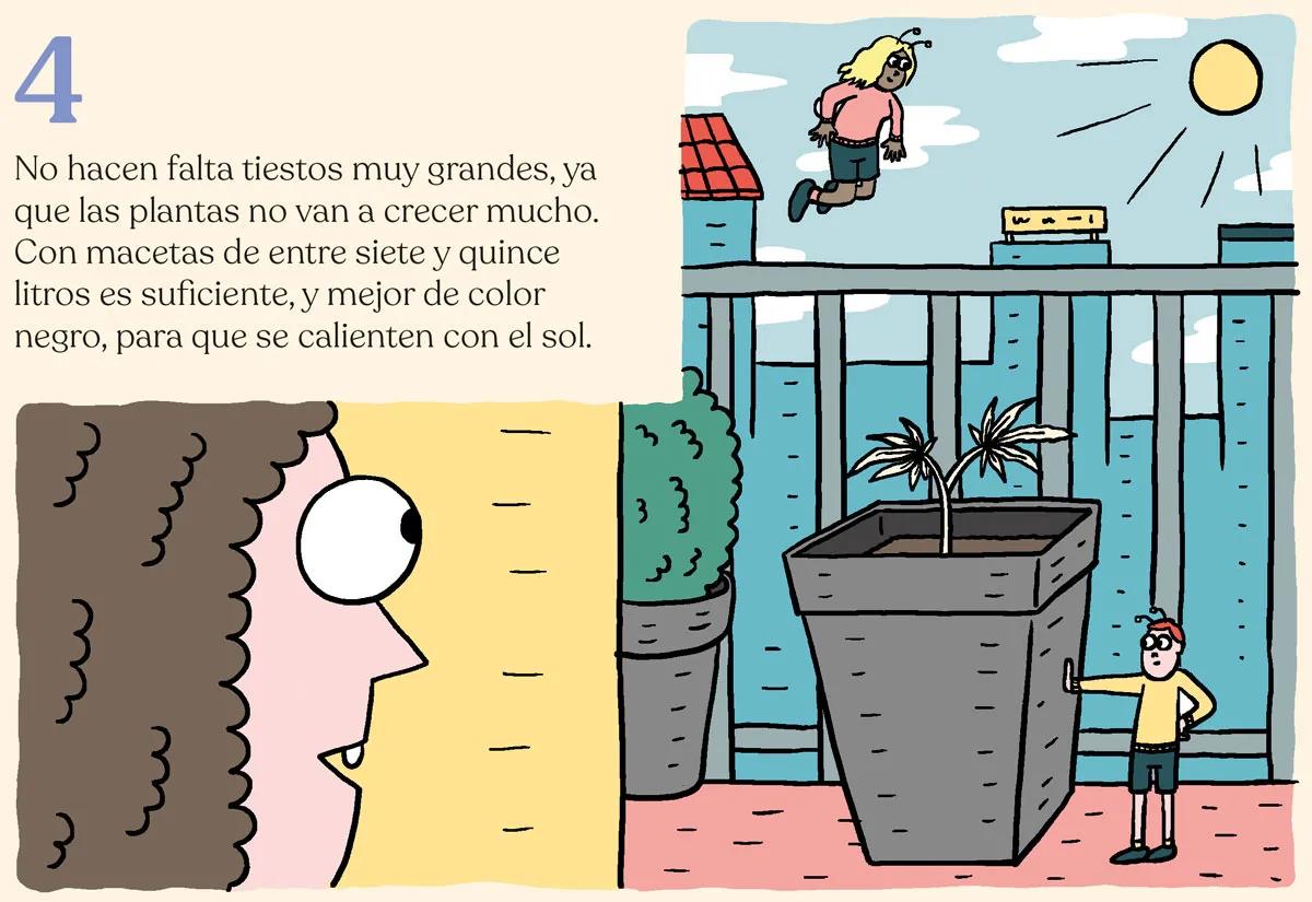 Siembra en febrero y cosecha en mayo: trucos para la maría de primavera 