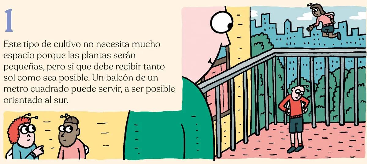 Siembra en febrero y cosecha en mayo: trucos para la maría de primavera 