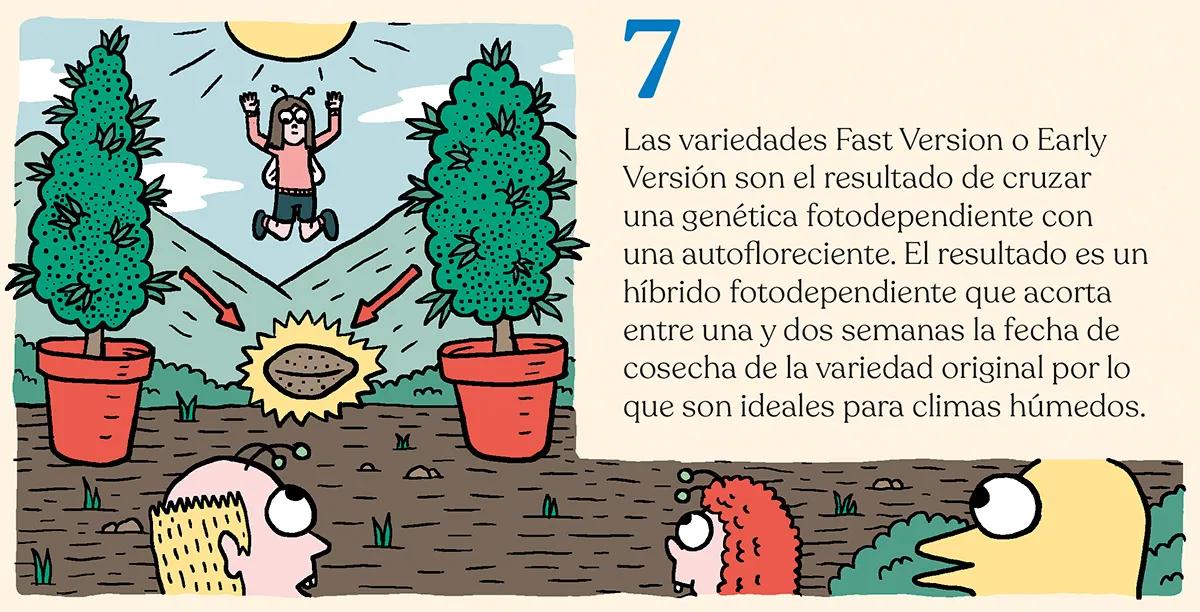 ¿Qué semillas compro? Guía para principiantes