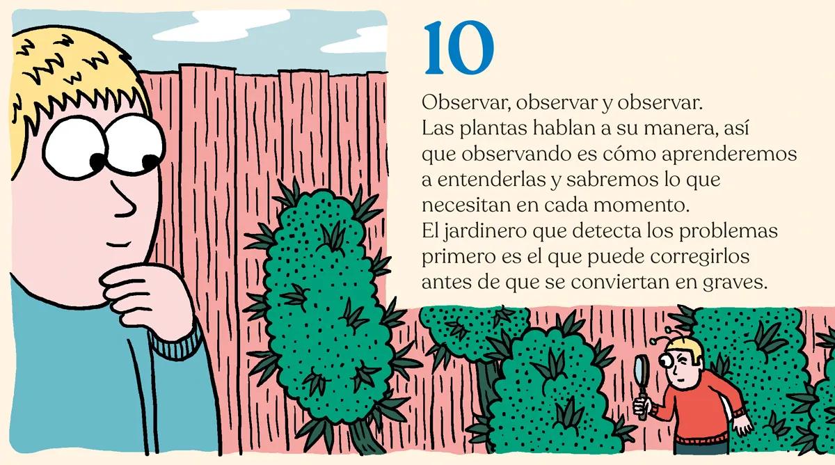 Hora de sembrar: trucos y consejos para plantar en el suelo 