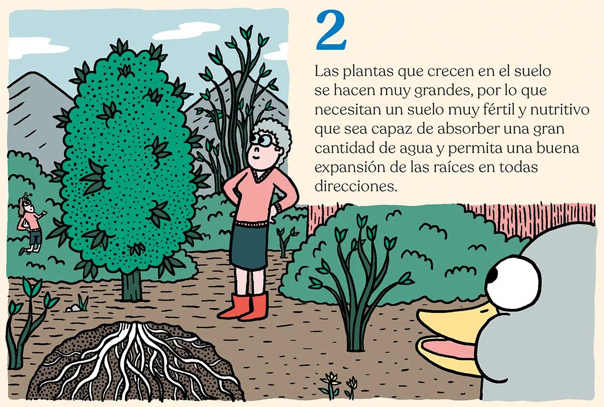 Hora de sembrar: trucos y consejos para plantar en el suelo 