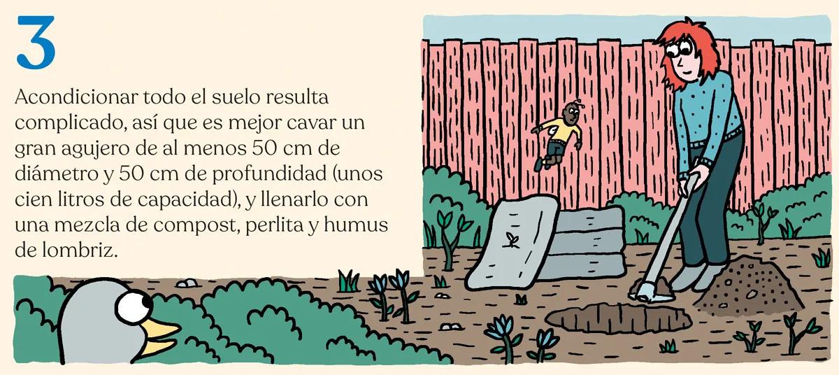 Hora de sembrar: trucos y consejos para plantar en el suelo 