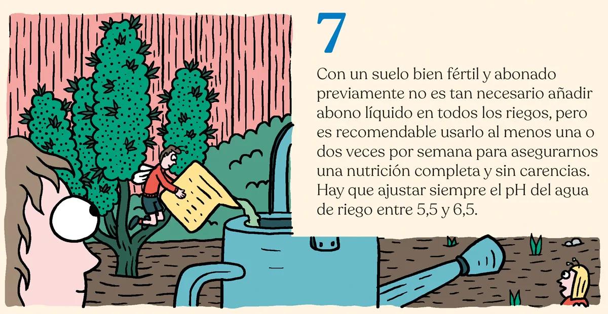 Hora de sembrar: trucos y consejos para plantar en el suelo 