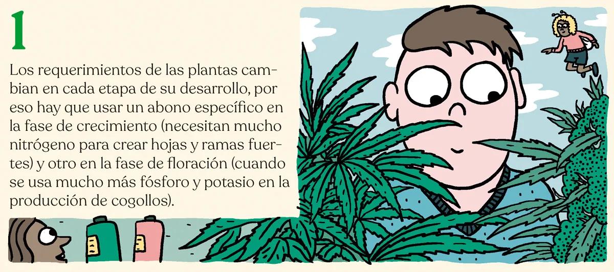 Alimentar las plantas para lograr la mejor cosecha: diez trucos para abonar como un experto