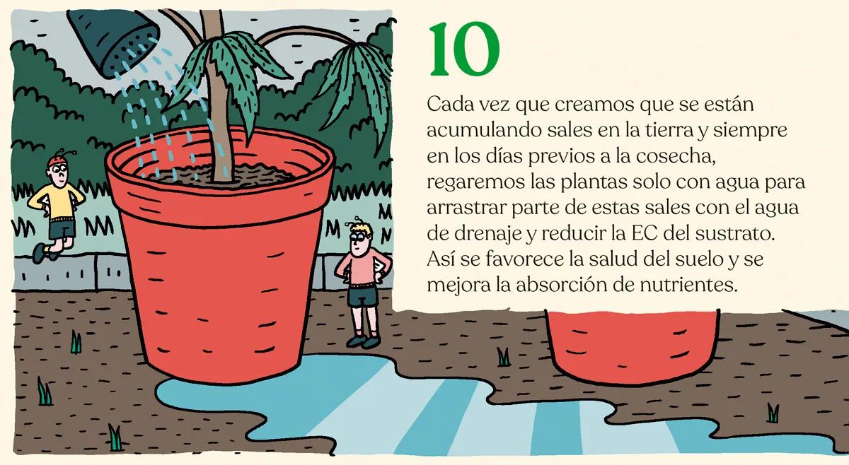Alimentar las plantas para lograr la mejor cosecha: diez trucos para abonar como un experto