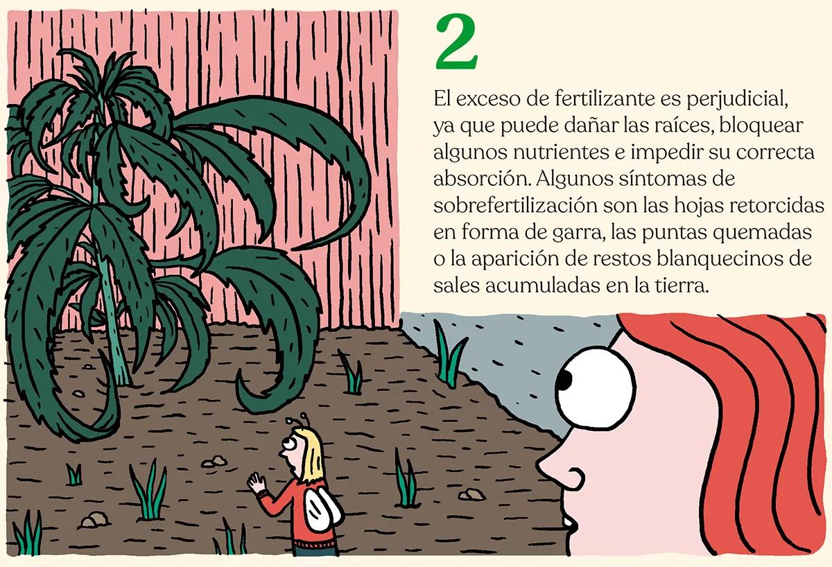 Alimentar las plantas para lograr la mejor cosecha: diez trucos para abonar como un experto