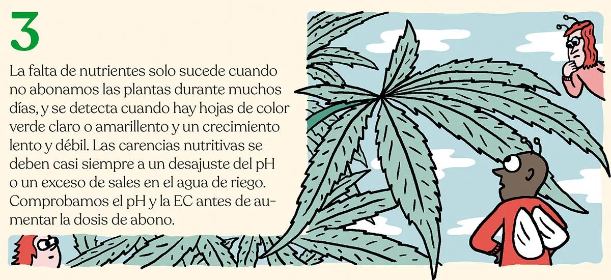Alimentar las plantas para lograr la mejor cosecha: diez trucos para abonar como un experto