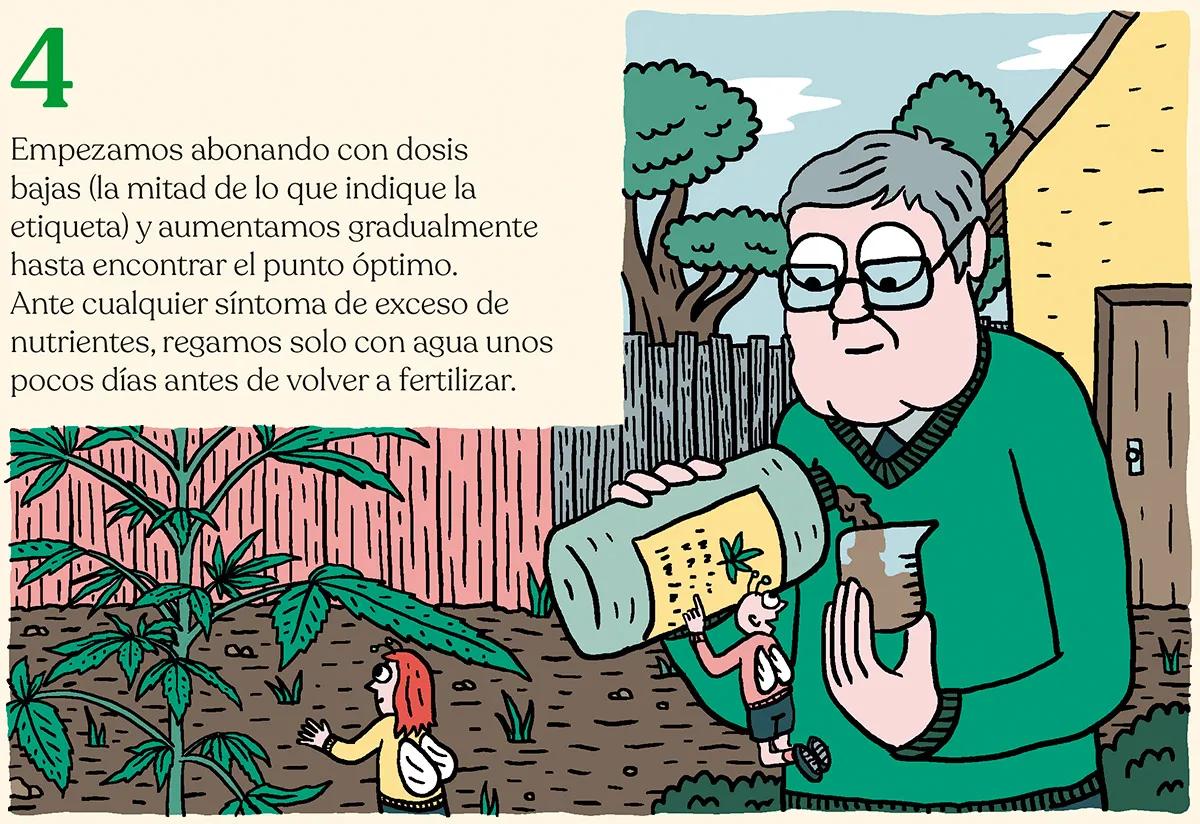 Alimentar las plantas para lograr la mejor cosecha: diez trucos para abonar como un experto
