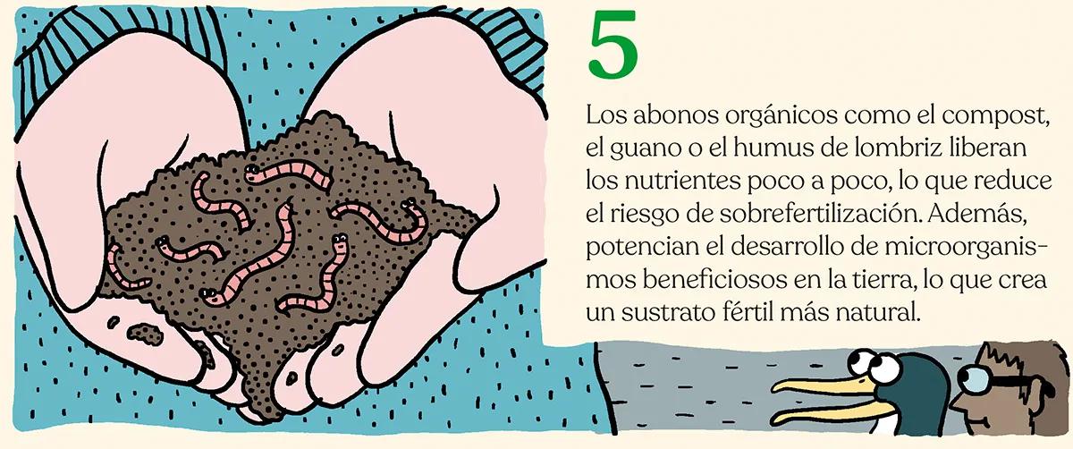 Alimentar las plantas para lograr la mejor cosecha: diez trucos para abonar como un experto