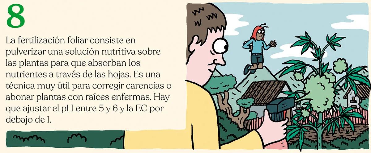 Alimentar las plantas para lograr la mejor cosecha: diez trucos para abonar como un experto