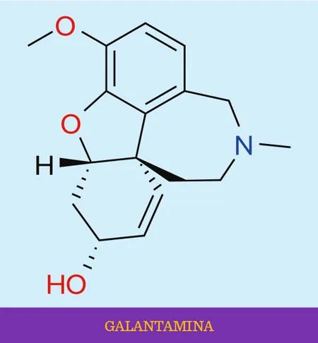 Galantamina