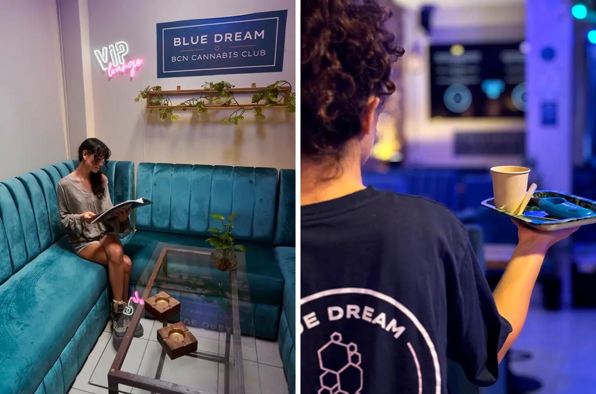 Blue Dream Club