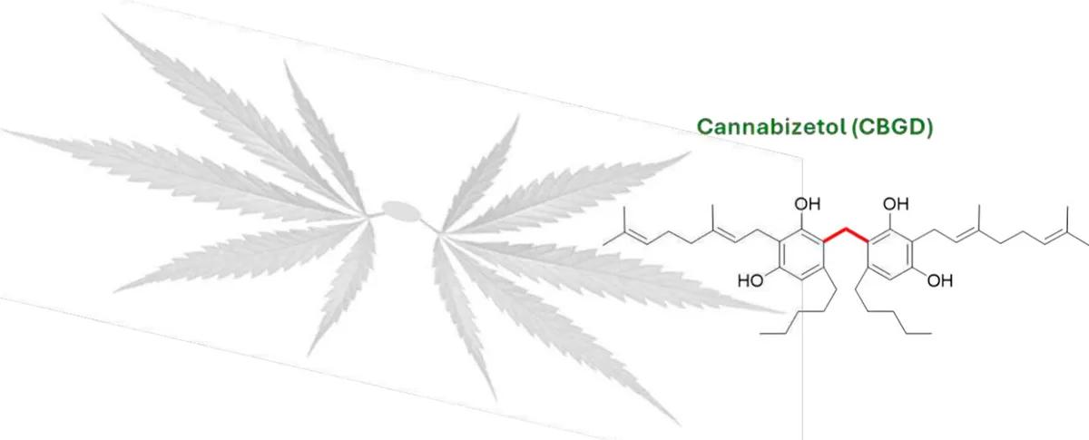 Cannabizetol