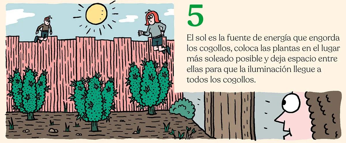 Listas para producir: cómo lograr superplantas 