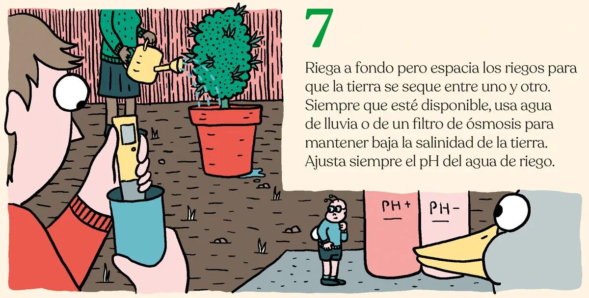 Listas para producir: cómo lograr superplantas 