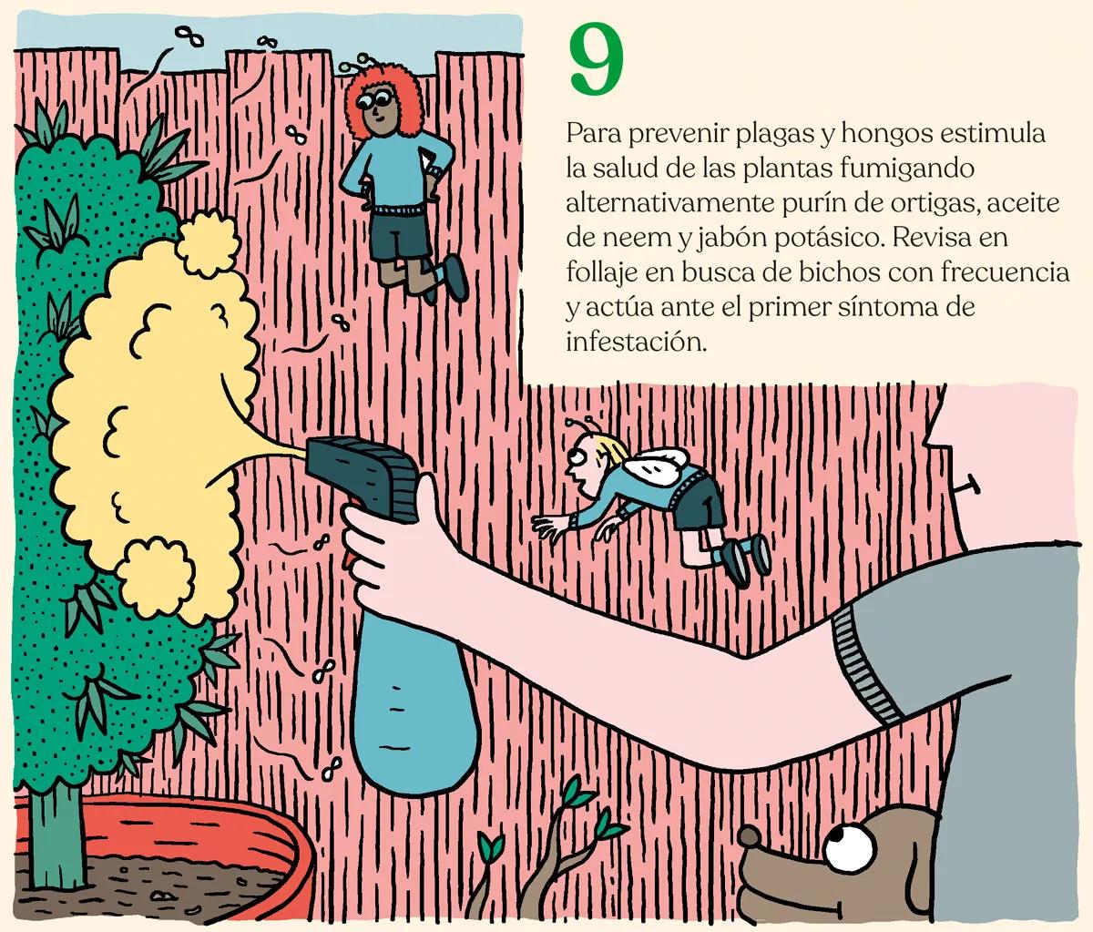 Listas para producir: cómo lograr superplantas 