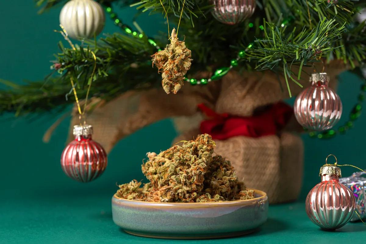 Fiestas navideñas: de la tradicional siemieniotka al "green Christmas"