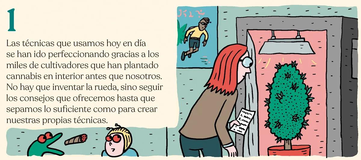 1.	Las técnicas que usamos hoy en día se han ido perfeccionando gracias a los miles de cultivadores que han plantado cannabis en interior antes que nosotros. No hay que inventar la rueda, sino seguir los consejos que ofrecemos hasta que sepamos lo suficiente como para crear nuestras propias técnicas. 