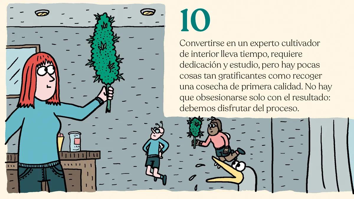 10.	Convertirse en un experto cultivador de interior lleva tiempo, requiere dedicación y estudio, pero hay pocas cosas tan gratificantes como recoger una cosecha de primera calidad. No hay que obsesionarse solo con el resultado: debemos disfrutar del proceso. 