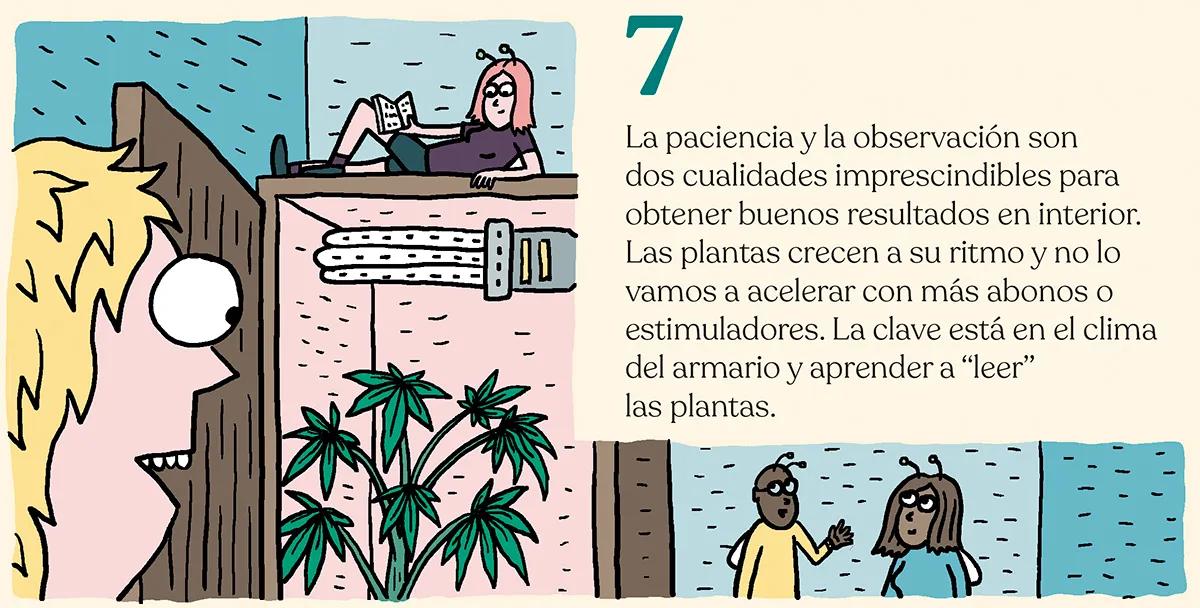 7.	La paciencia y la observación son dos cualidades imprescindibles para obtener buenos resultados en interior. Las plantas crecen a su ritmo y no lo vamos a acelerar con más abonos o estimuladores. La clave está en el clima del armario y aprender a “leer” las plantas. 