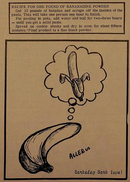 バナナディーナ:バナナの皮を燻製にすることに関する大きな神話