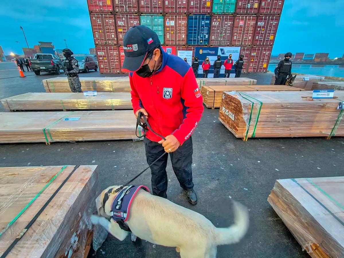 Chile detecta droga impregnada en más de mil toneladas de madera