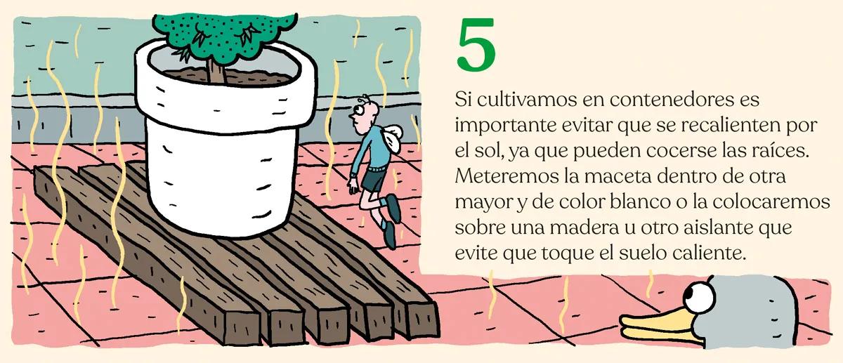 La marihuana en los meses de calor 
