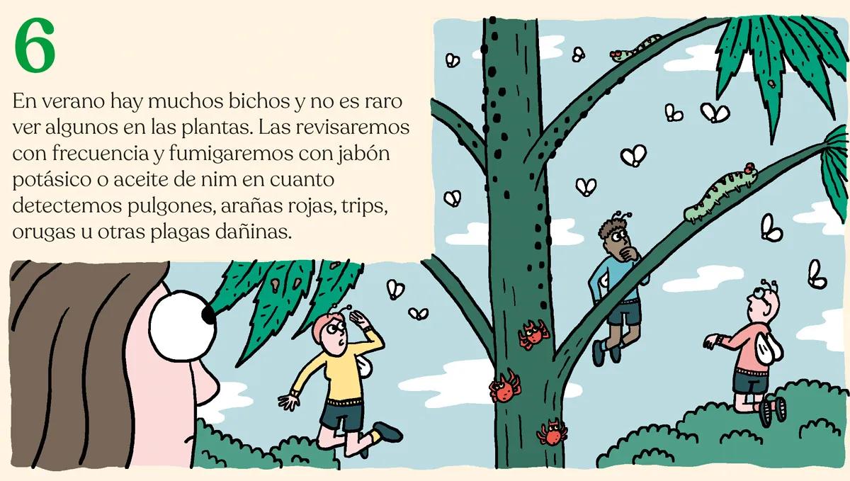 La marihuana en los meses de calor 
