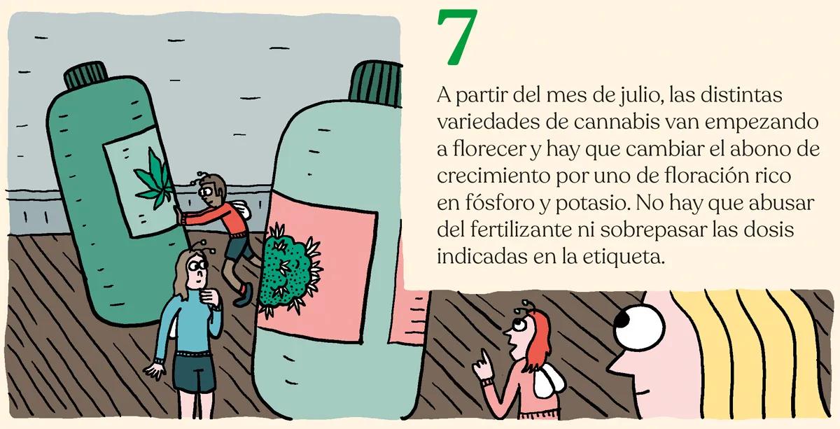 La marihuana en los meses de calor 