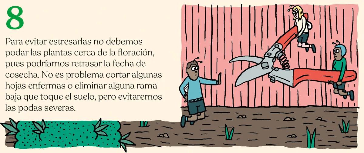 La marihuana en los meses de calor 
