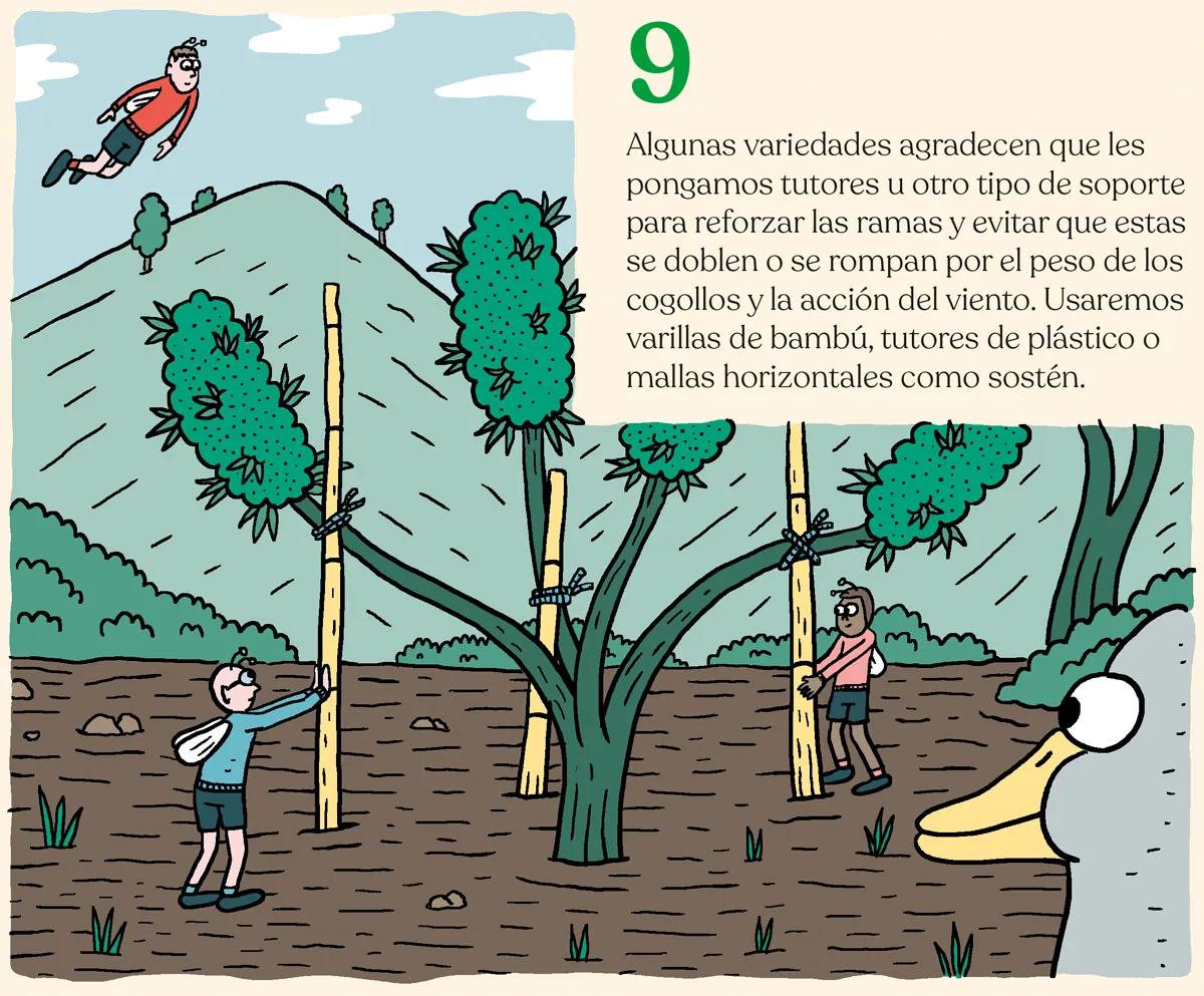 La marihuana en los meses de calor 