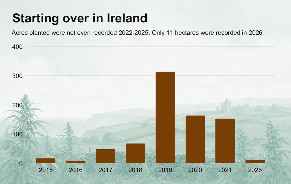 Irlanda busca destrabar el cáñamo industrial tras cultivar solo 11 hectáreas