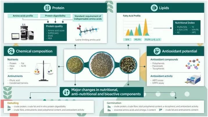 Evaluación del perfil nutricional y funcional de semillas de cáñamo ( Cannabis sativa L.) enteras, descascarilladas y germinadas.