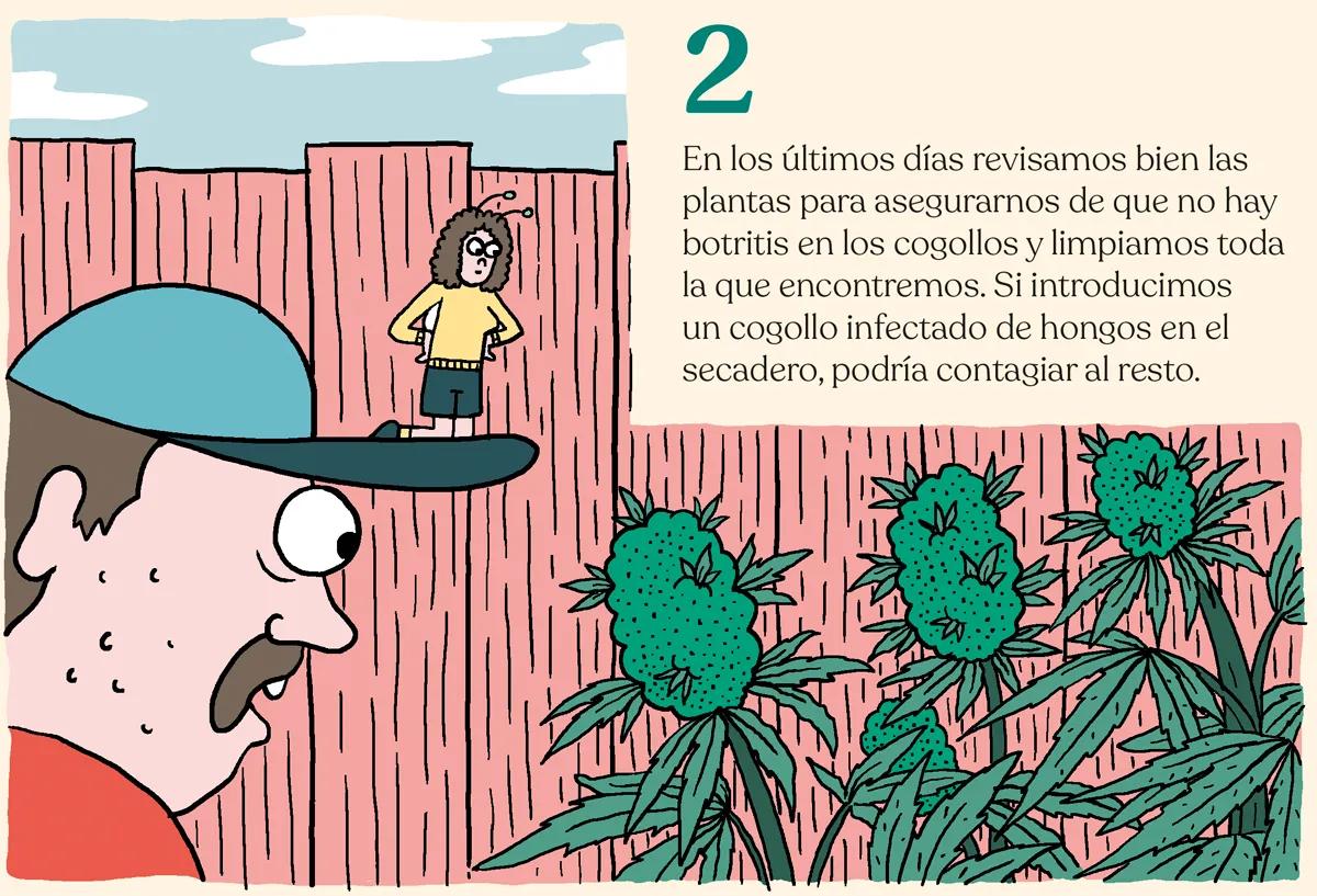 Cosechar como experto 