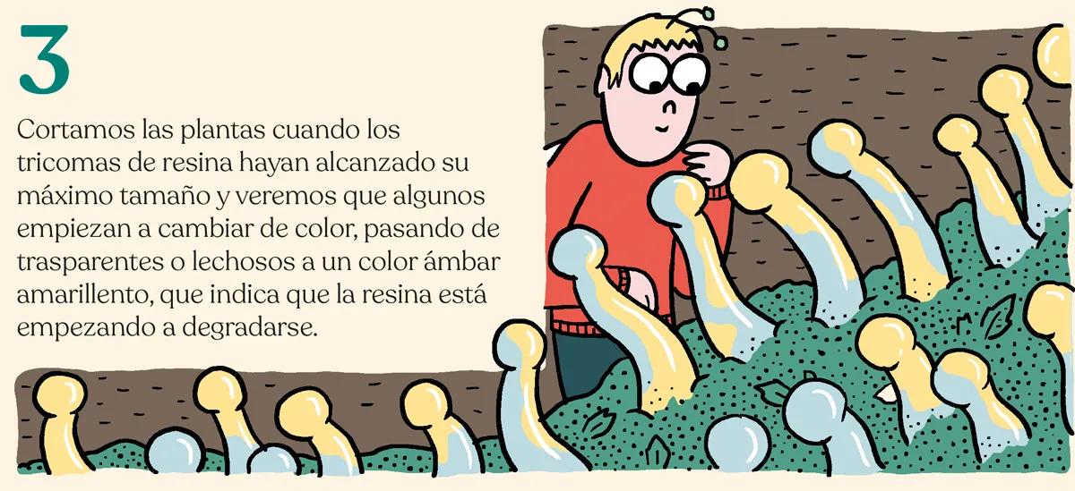 Trucos y consejos para cosechar como un experto 