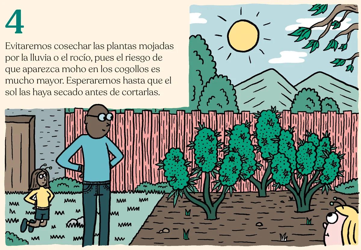 Trucos y consejos para cosechar como un experto 