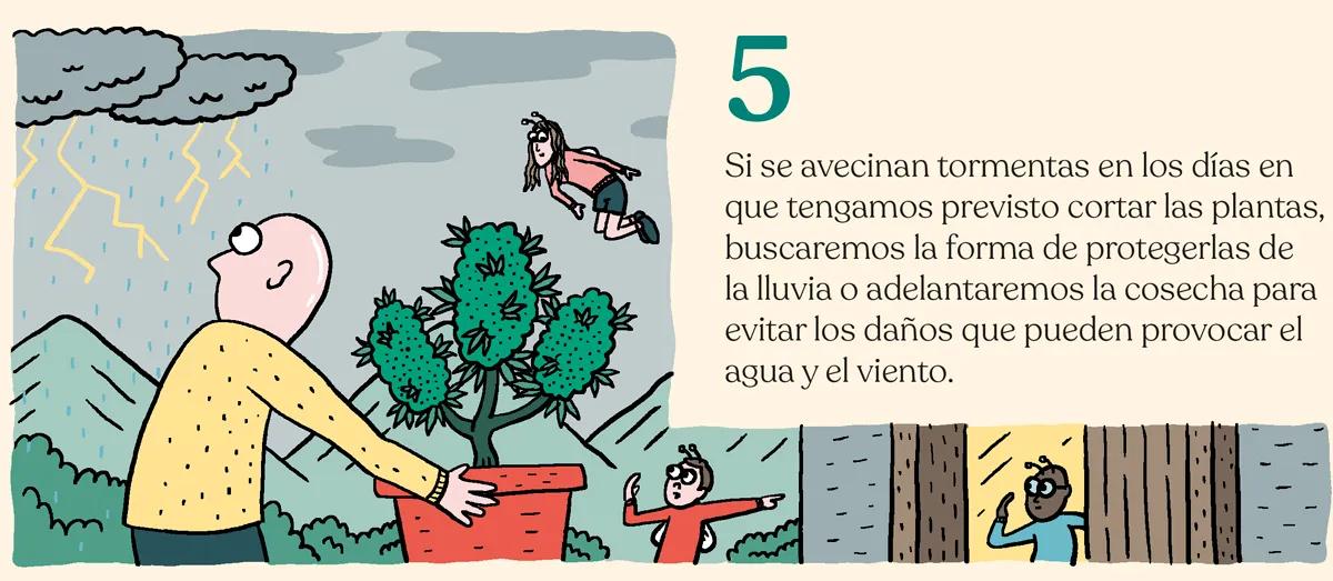 Trucos y consejos para cosechar como un experto 