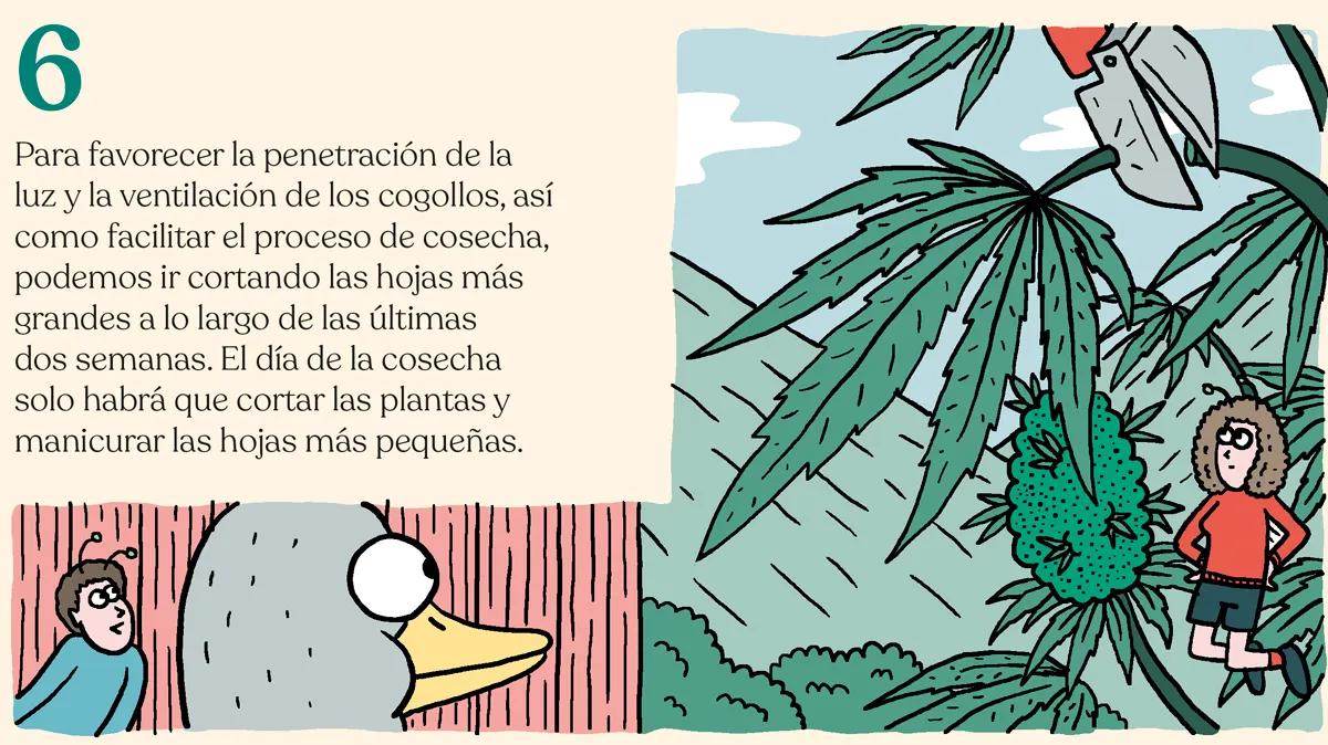 Trucos y consejos para cosechar como un experto 
