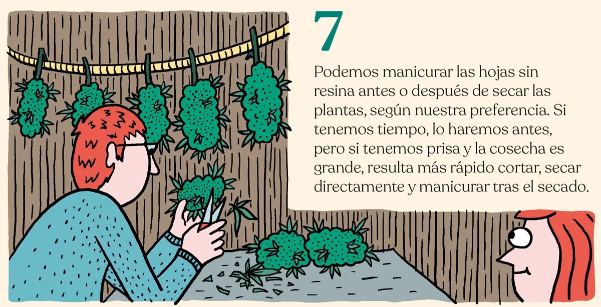 Trucos y consejos para cosechar como un experto 