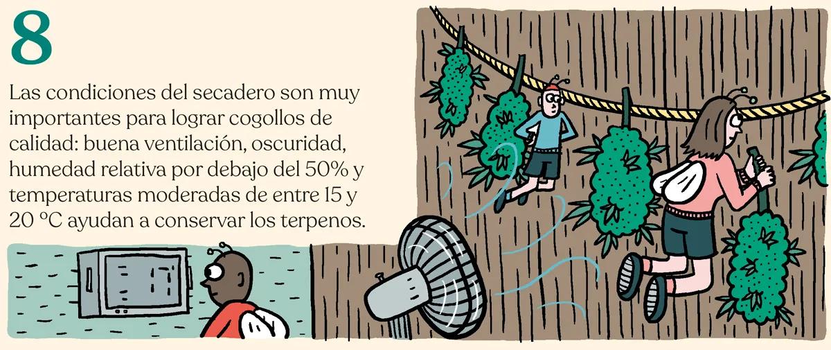 Trucos y consejos para cosechar como un experto 