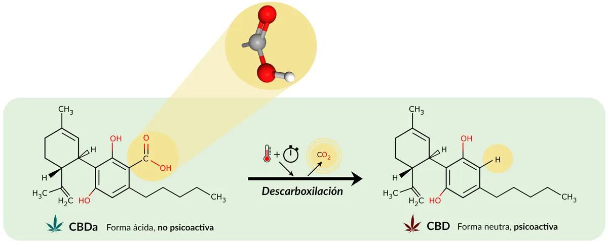 Descarboxilación de cannabinoides