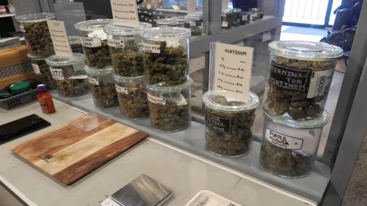 Canadá realizó 902 inspecciones de cannabis en un año