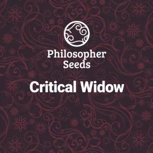 Critical Widow 