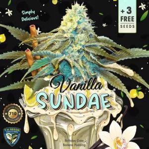 Vanilla Sundae 710 Pack Especial